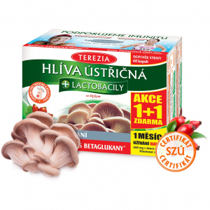 TEREZIA Hlíva ústřičná+lactob.cps.60+60 AKCE 1+1