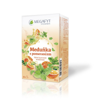 Megafyt Ovocný Meduňka s pomerančem 20x2g