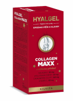 Hyalgel Collagen MAXX 500 ml příchuť VIŠEŇ